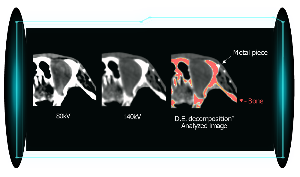 Cardiac CT image 12