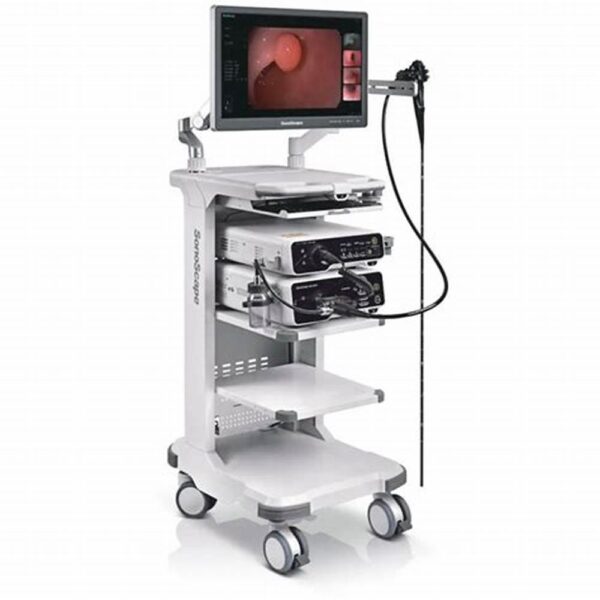 Endoscopy image 4