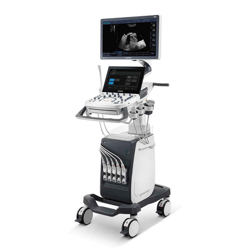 Ultrasonography image 2