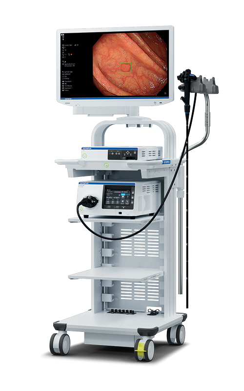 Endoscopy image 3