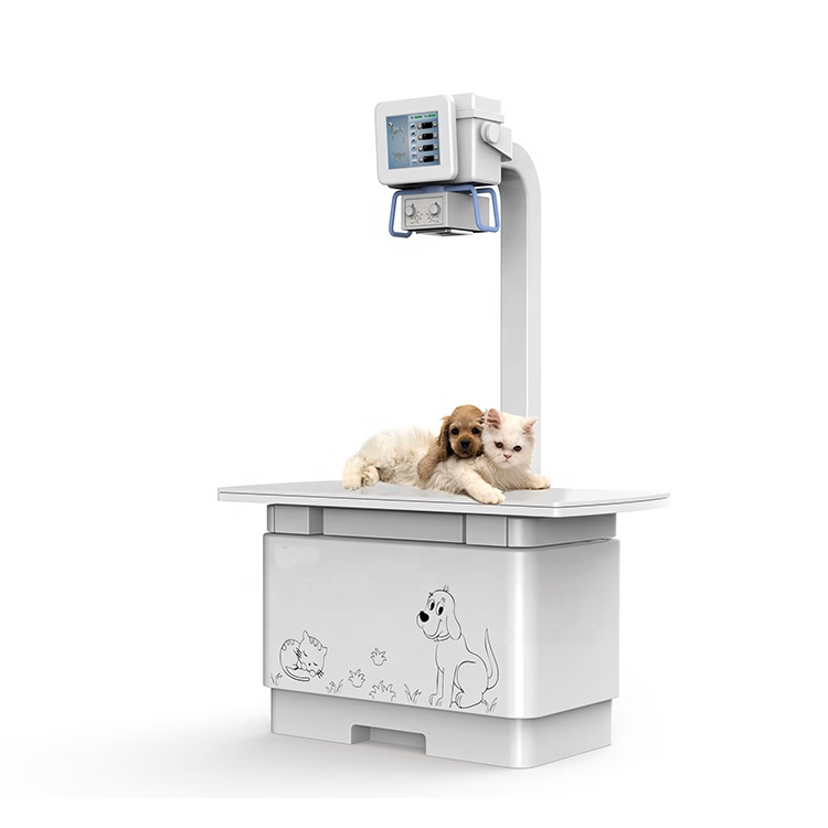 Veterinary X-ray image 2